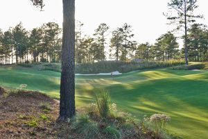 Tree Farm 16th Green